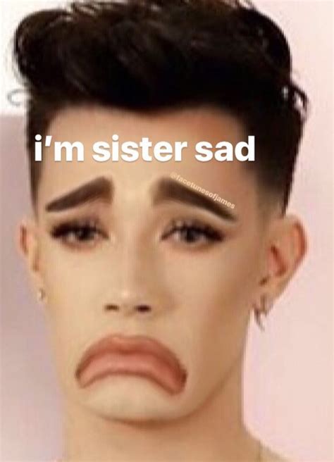 funny pics of james charles.